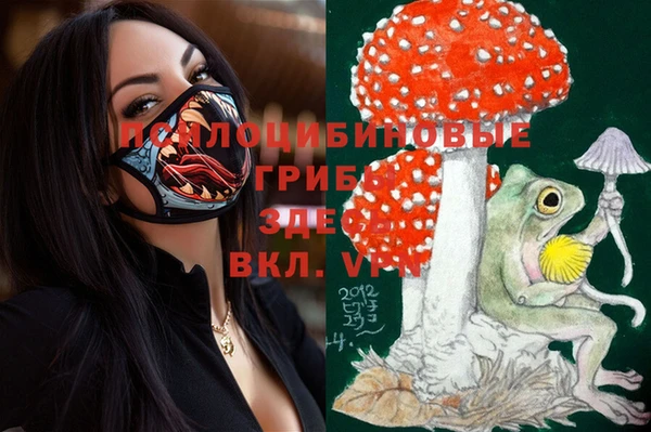 меф Елизово