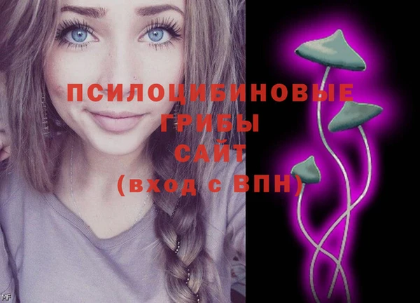 трава Медвежьегорск